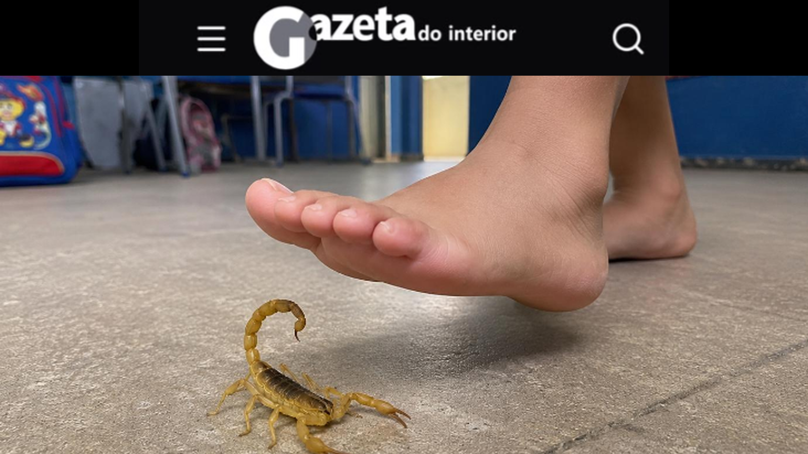 Repelente para escorpião teve eficácia em Palestina/SP e prefeitura amplia aplicação